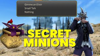 27 Minions You Mightve Missed  FFXIV [upl. by Oinesra247]