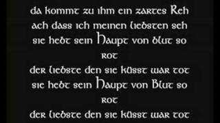 Die Streuner  Rabenballade Lyric [upl. by Campman]