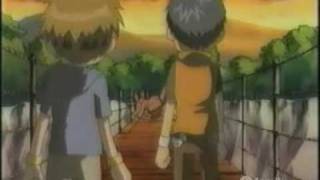 Digimon Tamers AMV [upl. by Frederiksen]