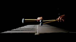 JS Bach  Cantata BWV 147  Vibraphone [upl. by Mastat557]