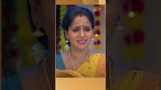 Kayal SunTV shorts tamilserial [upl. by Hsetirp856]