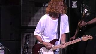 Gin Blossoms  Hey Jealousy Live at Farm Aid 1994 [upl. by Dulce520]