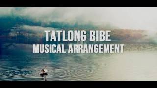 Tatlong Bibe  Musical Arrangement  Piano  Violin  Flute [upl. by Nnaeinahpets38]