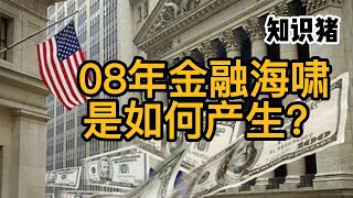 08年金融海嘯是如何產生？ 金融危機的起因和影響  知識豬 [upl. by Marcille]