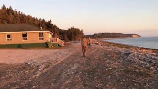 Anticosti Island Sepaq Anticosti Ste Marie 2 Cabin [upl. by Kreager]