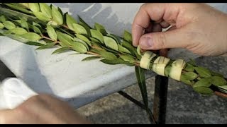 How to Put Together a Lulav Chabad  by Rabbi Sholom Dubov [upl. by Jaime]