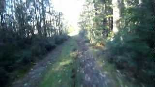 Brookings Oregon mountain biking logging roads [upl. by Nonnel]