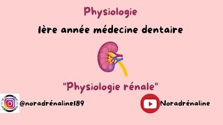 physiologie rénalephysiologie dentaireشرح بالدارجة [upl. by Enilarak353]