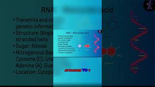 Understanding Nitrogenous Bases Purines vs Pyrimidines [upl. by Hovey]