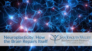 Neuroplasticity How the Brain Repairs Itself  San Joaquin Valley Rehabilitation Hospital [upl. by Acyre]