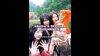 KRUSHS OFFICIAL DUO NAMES krush kpop aespa duo cover twice vkpop vpop ytshorts viral 💙 [upl. by Rosecan]