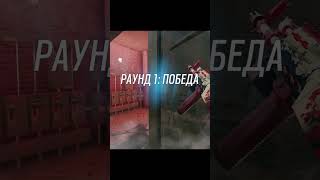 Tom Clancys Rainbow Six Siege изи килл shorts gaming rainbowsixsiege [upl. by Poock]