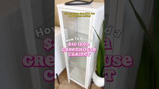 How to Build a 40 DIY IKEA Greenhouse Cabinet shorts baggebo diy greenhouse houseplants tips [upl. by Lekym]