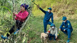 Police used sniffer dogs to search for the cruel motherinlaw [upl. by Ranger751]