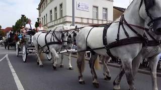 Iserlohn  Schützenfest 2017  Festumzug durch die Innenstadt zur Alexanderhöhe 2017 [upl. by Asenev494]