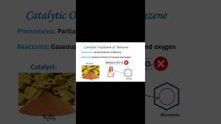 Catalytic Oxidation of Benzene [upl. by Ylicec]