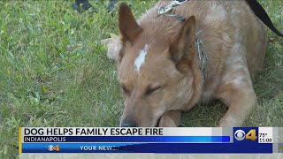 2 firefighters injured battling SE side house fire dog credited with alerting family [upl. by Fondea685]