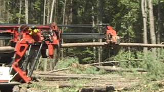 Timber Harvest Delimbing 1 [upl. by Wahl838]