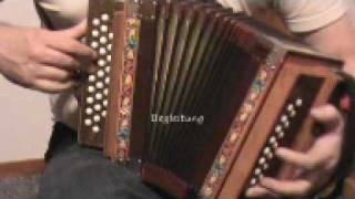 Swiss accordion trio Schwyzerörgeli trio [upl. by Aivilys33]