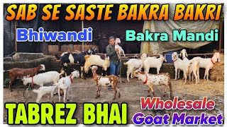 Bakra Mandi Se Saste Milenge Bakre At TABREZ BHAI  Wholesale Goat Market In Maharashtra [upl. by Namor817]