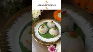 Sago Vrat Dumplings 🥟 Navratri [upl. by Leacim105]