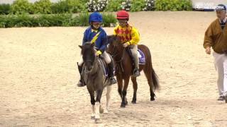 Shetland Pony Race [upl. by Abrahams676]