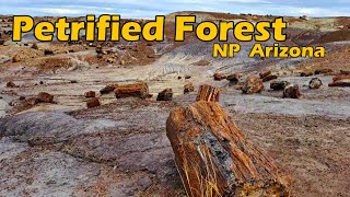 Petrified Forest National Park Arizona [upl. by Aleksandr220]