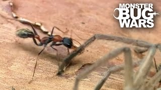 Epic Ant Battles 2  MONSTER BUG WARS [upl. by Nowad]