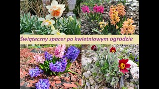 Świąteczny spacer po kwietniowym ogrodzie  Ogród Jadzi 188 [upl. by Japheth]