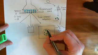 Kiss and Run Synaptic Vesicle Fusion Part 3 [upl. by Ferdy234]