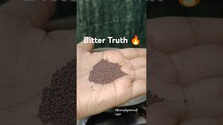 Bitter Truth🔥✅trueline motivation shorts ytshortsvideo food recipe youtube kadhirecipeshort [upl. by Chrisy661]