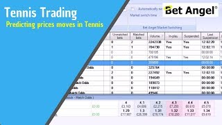 Betfair trading strategy  Predicting prices moves in Tennis [upl. by Belmonte]