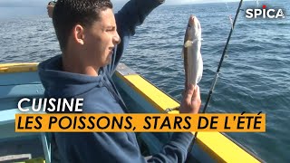 CUISINE  Les poissons stars de lété [upl. by Aker]