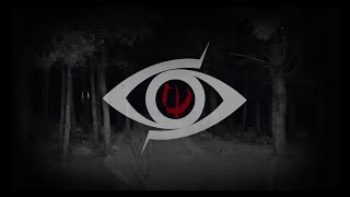 PROLEPSIS  Near the Abyss Official video lyric [upl. by Eelrac]