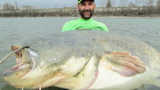 Siluro Gigante mi rompe il Mulinello  HD by Catfishing World [upl. by Donaldson]