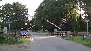 Spoorwegovergang Windesheim  Dutch Railroad Crossing [upl. by Hsetirp147]