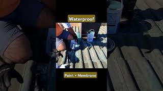 Waterproof  Chimney waterproof diyprojects [upl. by Silden693]