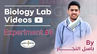 Biology Lab  Experiment 3 Macromolecules and living things By باسل النجار [upl. by Winterbottom]