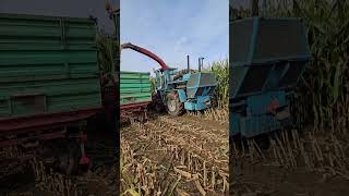 Mengele V 10 amp Fendt Farmer bei Maissilage🌽🔝🏁 [upl. by Dimah]