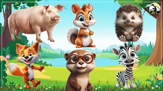 Animal Sounds Collection Pig Fox Hedgehog Otter Zebra Squirrel  Animal Videos [upl. by Fleur]