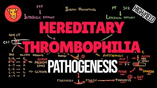 HEREDITARY THROMBOPHILIA Pathogenesis of Antithrombin deficiency Factor 5 Leiden Protein CS def [upl. by Alemrac]