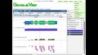 RNASeq with EPICCoGe in 3 minutes [upl. by Wallis]