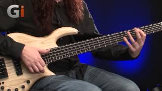 Elrick Expat eVolution 5String Bass Guitar Review [upl. by Amann460]