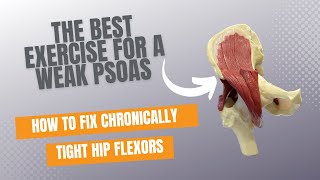 How To Strengthen A Weak Psoas  The Best Exercise For Tight Hips [upl. by Hsina]