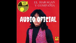 El Haragan y Compañia  Antes Me Gustabas Audio Oficial [upl. by Tavia]