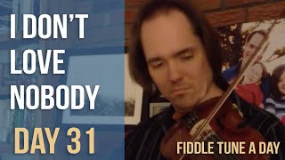 I Dont Love Nobody  Fiddle Tune a Day  Day 31 [upl. by Dorsy633]