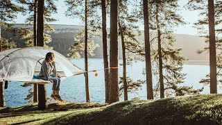 Tentsile  Safari Stingray Tree Tent  The Worlds Most Robust 3 Man Hammock Tent  Set Up Guide [upl. by Nysilla309]