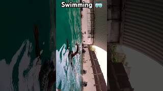 Freestyle And breaststroke swimming swimming shorts shortvideo [upl. by Ranit]