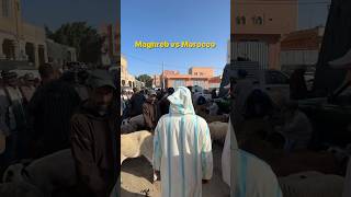 Maghreb VS MOROCCO 🇲🇦😂 morocco dimamaghrib travel [upl. by Sausa]