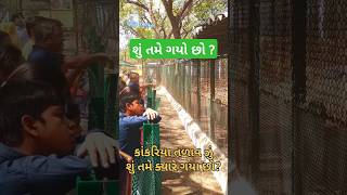 Kankaria Lake Zoo Ahmedabad A Family Adventure Awaits KankariaLakeZoo AhmedabadZoo zoo shorts [upl. by Hildagard]